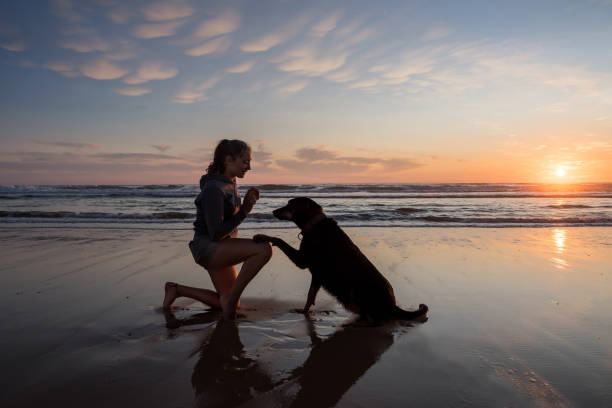 istock pretty young woman training her dog on the beach 1328289541