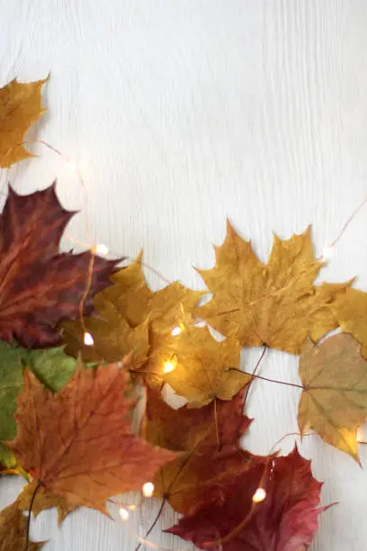 red and yellow maple leaves with lights included garland on the table top view