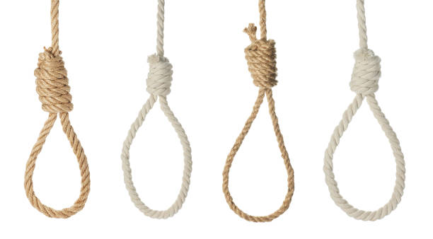 istock Rope nooses with knots on white background, collage 1328290862