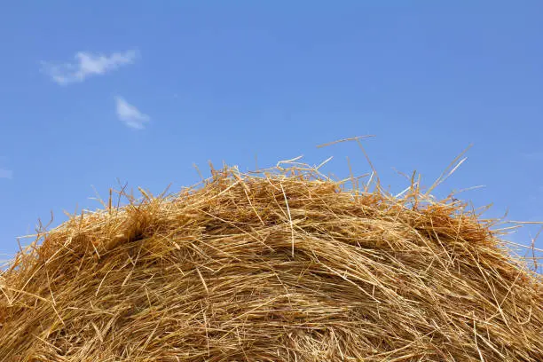 oval roll of dry hay under a blue sky with clouds