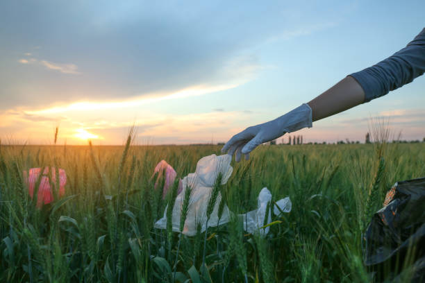 istock Woman collecting garbage in wheat field, closeup 1328291368