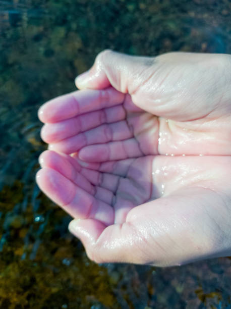 istock Handful of pure freshwater against river pebbles bottom 1328291502