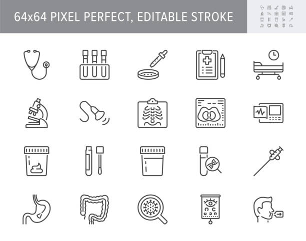 Medical check up line icons. Vector illustration include icon - radiology, stethoscope, xray, ultrasound, pcr, petri dish outline pictogram for health diagnostic. 64x64 Pixel Perfect, Editable Stroke Medical check up line icons. Vector illustration include icon - radiology, stethoscope, xray, ultrasound, pcr, petri dish outline pictogram for health diagnostic. 64x64 Pixel Perfect, Editable Stroke. medical stock illustrations