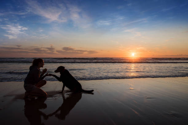 istock pretty young woman training her dog on the beach 1328292656