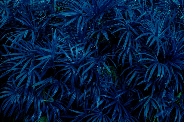 istock Full Frame of Green Leaves Texture Background. tropical leaf 1328294988