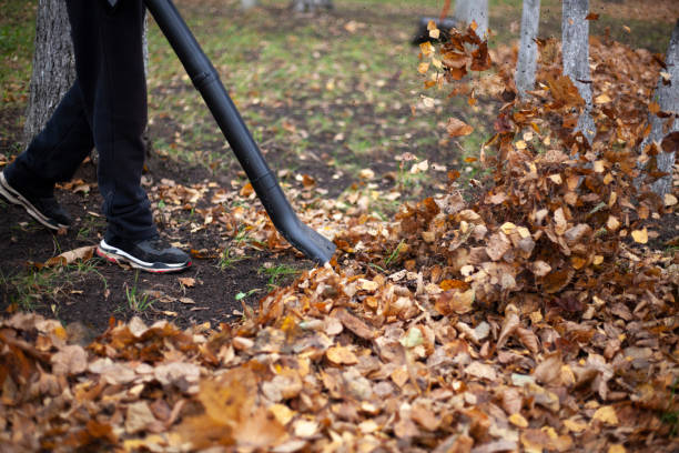 istock Leaf cleaning. Dry leaves in the garden. 1328299216