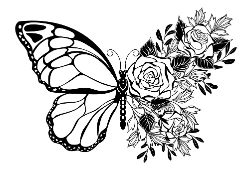 Composition of contour butterfly and bouquet of silhouette roses and ornamental plants on white background.