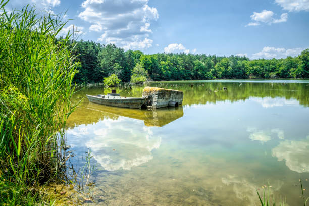 viejos barcos de madera en la orilla de un río pantanoso. paisaje rústico de luisiana, ee. uu. - spring forest scenics wetland fotografías e imágenes de stock