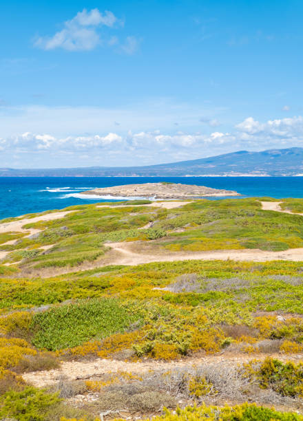 istock Cabras (Italy) - Sardegna region 1328306896