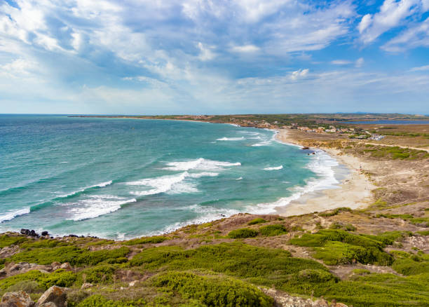 istock Cabras (Italy) - Sardegna region 1328307772