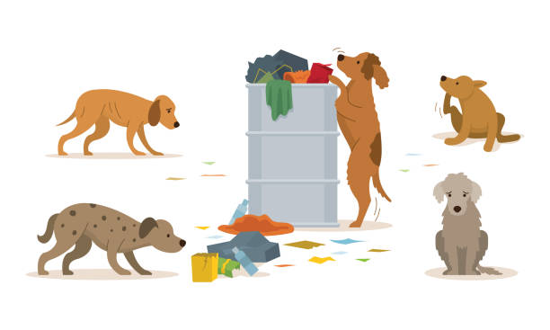 ilustraciones, imágenes clip art, dibujos animados e iconos de stock de grupo de perros callejeros rummage un bote de basura - lost pet