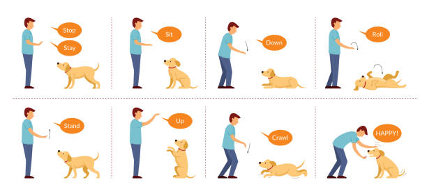 手信号を使った犬の訓練 - training点のイラスト素材／クリップアート素材／マンガ素材／アイコン素材