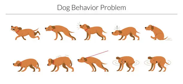 Vector illustration of Dog Behavior Problem Set
