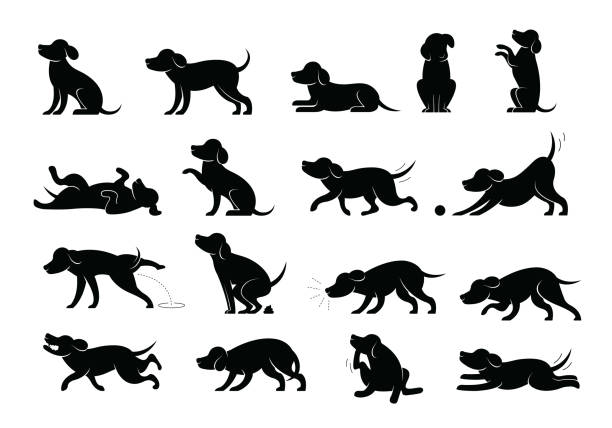 Dog Behavior Silhouette Set Various Action and Posture, Body Language begging animal behavior stock illustrations