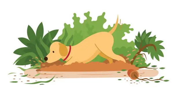 Vector illustration of Dog Digging and Destroying Garden