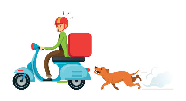 Dog chasing Man Ridding on Motorcycle or Scooter, Delivery Man, Postman angry dog barking cartoon stock illustrations