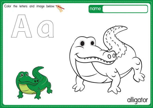 Vector illustration of Vector illustration of kids alphabet coloring book page with outlined clip art to color. Letter A for Alligator.