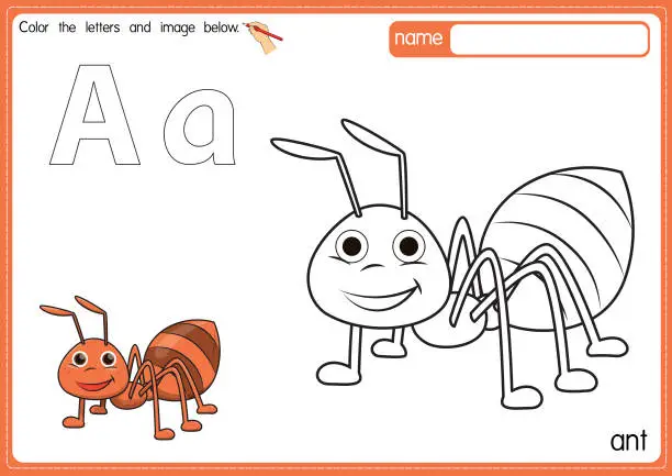 Vector illustration of Vector illustration of kids alphabet coloring book page with outlined clip art to color. Letter A for Ant.