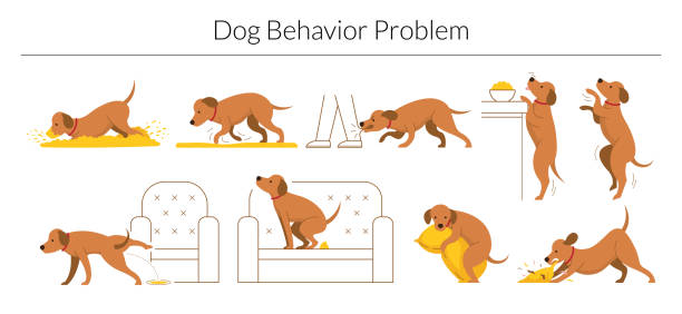 Dog Behavior Problem Set Digging, Destroying, Biting, Jumping, Pee and Poop animal behaviour stock illustrations