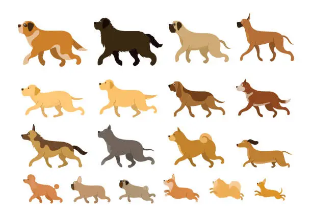 Vector illustration of Various Dog Breeds Running Set