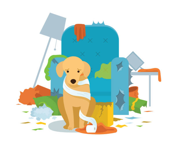 dog destroying furniture
