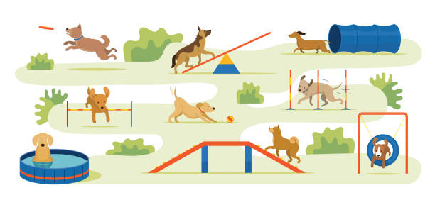 Dogs Playing in Playground Park Background with Toys and Equipments dog agility stock illustrations