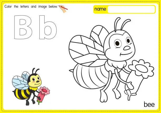 Vector illustration of Vector illustration of kids alphabet coloring book page with outlined clip art to color. Letter B for Bee.