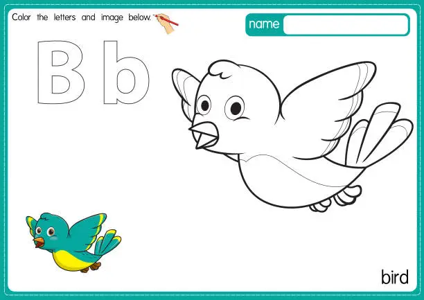 Vector illustration of Vector illustration of kids alphabet coloring book page with outlined clip art to color. Letter B for Bird.