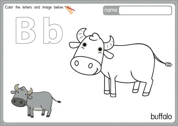 Vector illustration of Vector illustration of kids alphabet coloring book page with outlined clip art to color. Letter B for Buffalo.