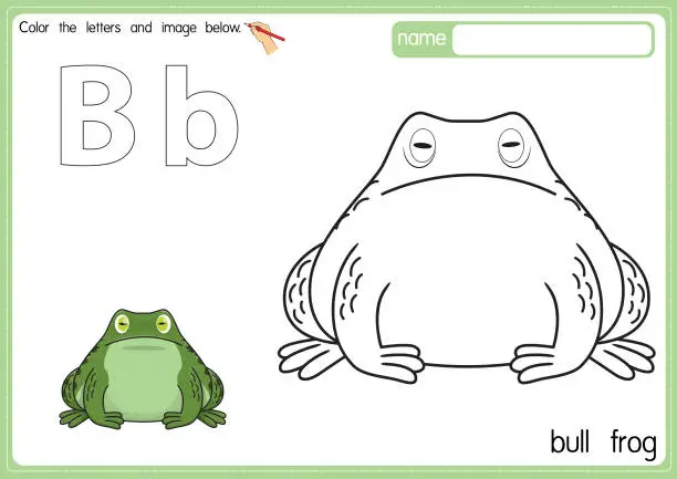 Vector illustration of Vector illustration of kids alphabet coloring book page with outlined clip art to color. Letter B for Bull Frog.