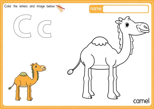 Vector illustration of Vector illustration of kids alphabet coloring book page with outlined clip art to color. Letter C for Camel.