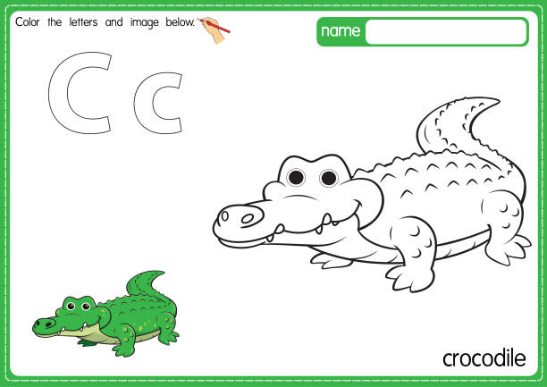  Ilustración vectorial de la página del libro para colorear del alfabeto de los niños con imágenes prediseñadas delineadas para colorear la letra C para la ilustración de stock de cocodrilo
