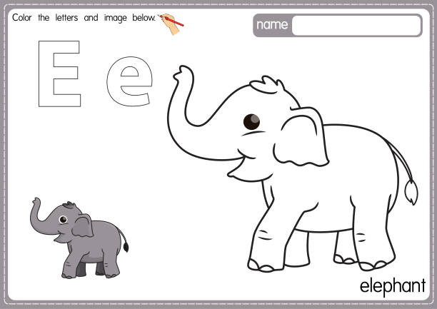 illustrations, cliparts, dessins animés et icônes de illustration vectorielle de la page du livre de coloriage de l’alphabet pour enfants avec une image clipart en couleur. lettre e pour éléphant. - professeur(e)