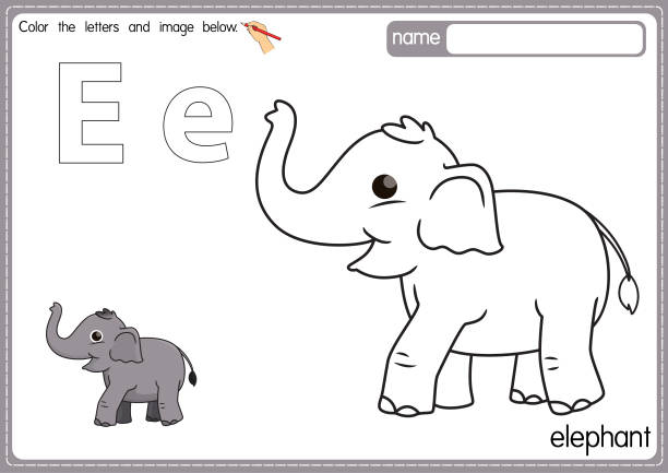 Animal Alphabet Letter E For Elephant Stock Photos, Pictures & Royalty-Free  Images - iStock