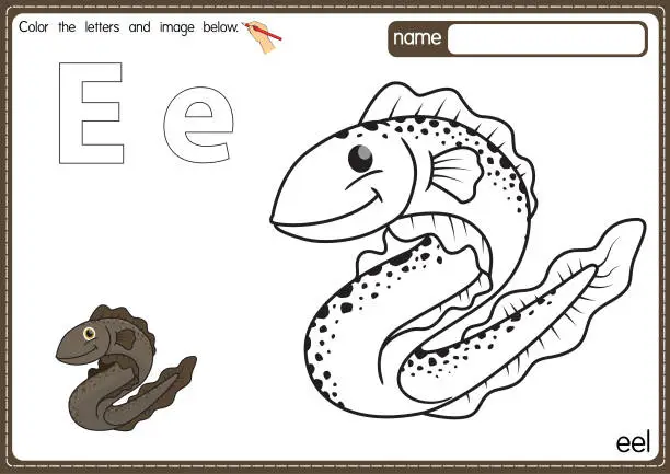 Vector illustration of Vector illustration of kids alphabet coloring book page with outlined clip art to color. Letter E for Eel.