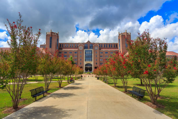 doak campbell stadium alla florida state university - florida state foto e immagini stock