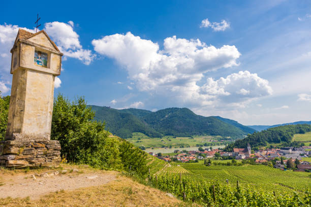 vista sobre el valle del danubio wachau - danube valley danube river vineyard austria fotografías e imágenes de stock