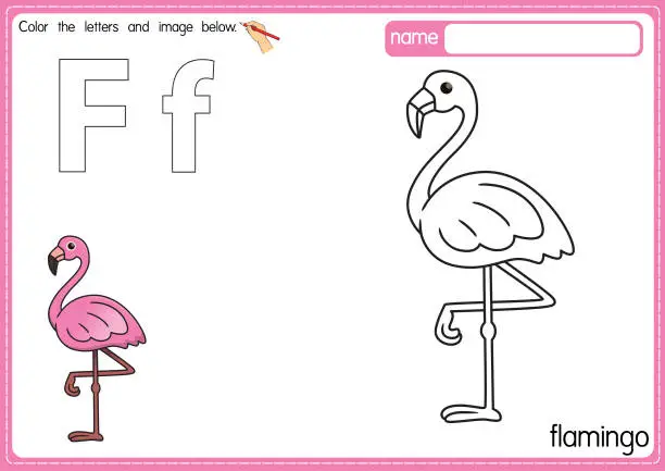 Vector illustration of Vector illustration of kids alphabet coloring book page with outlined clip art to color. Letter F for Flamingo.