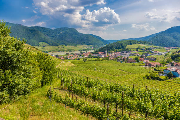 istock View of the Danube Valley in Lower Austria 1328316632