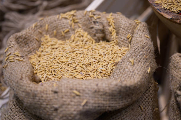 A lot of paddy rice put in a sack.