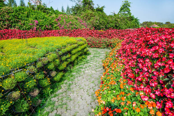 istock A brick stone pathway in vivid multi color blossom various flowers garden 1328322529