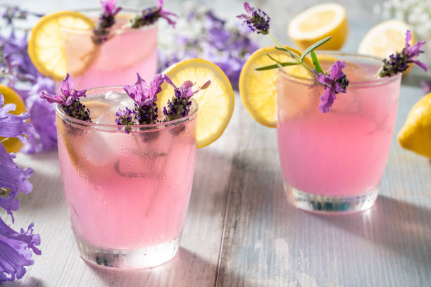 Pink lemonade with lavender flowers infused, ice and lemon slices in pastel color background Pink lemonade with lavender flowers infused, ice and lemon slices in pastel color background and purple flowers around non alcoholic beverage photos stock pictures, royalty-free photos & images