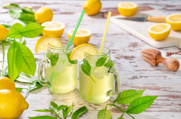 Two lemonade jar glasses with mint and lemon tree on grunge white wood Two lemonade jar glasses with ice cubes, mint and lemon tree on grunge white wood background lime basil plant stock pictures, royalty-free photos & images