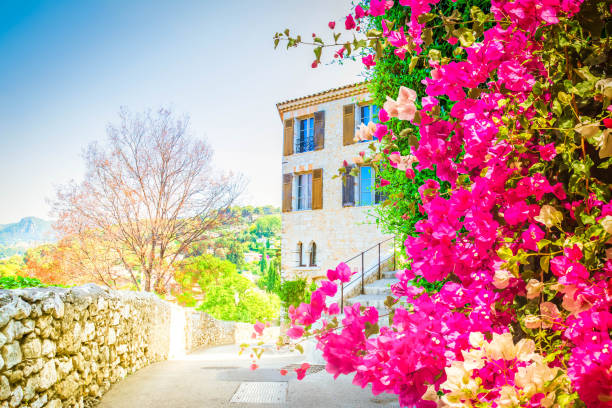beautiful old town street with stone stairs and flowers in Provence France