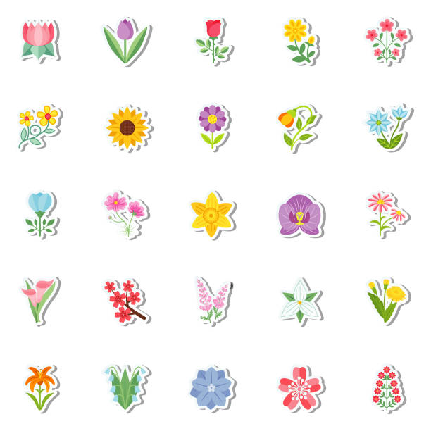 플랫 디자인의 귀여운 꽃 아이콘 - spring vertical cherry blossom color image stock illustrations