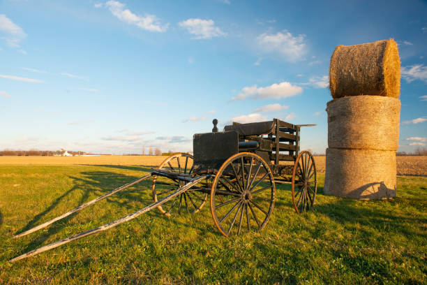 old farm wagon with some hay bales