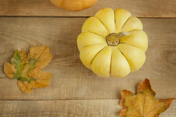 Autumn still life of pumpkin and maple leaves. Autumn seasonal background on wooden background. Thanksgiving Day