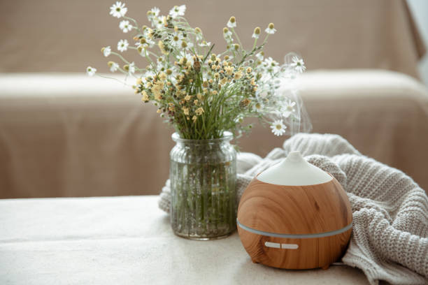 acogedora composición casera con humidificador de aire y flores silvestres en un jarrón. - aromatic oil burner fotografías e imágenes de stock