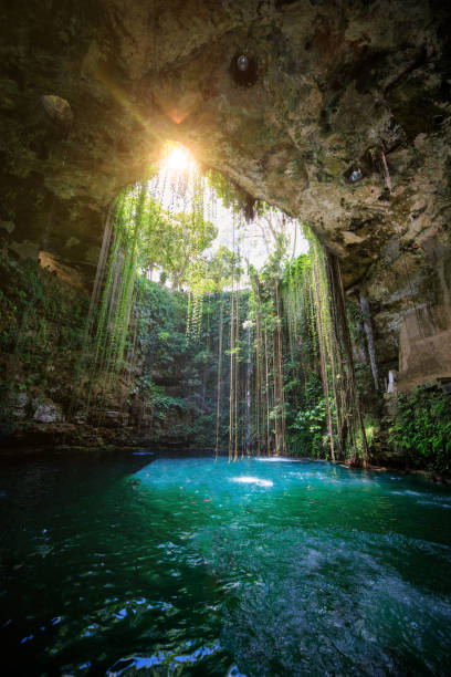 cenote in Mexico beautiful sunlight in a cenote of mexico cenote stock pictures, royalty-free photos & images