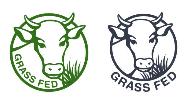 牛肉のラベリングのための草与えフラットバッジ - grass fed点のイラスト素材／クリップアート素材／マンガ素材／アイコン素材